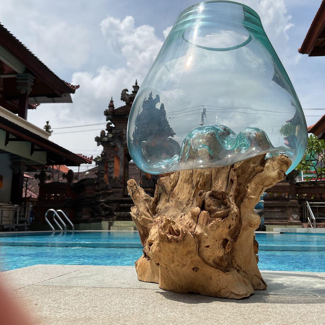 【新入荷】フィッシュボール(流木ガラス水槽)L size