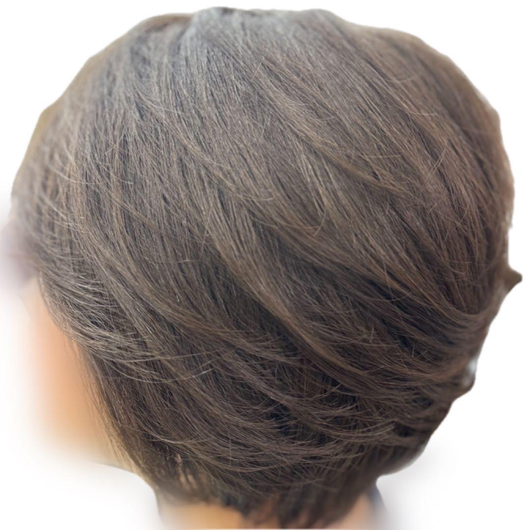 3Dウィッグ 百合子ウィッグレミー人毛100% サイズＬ