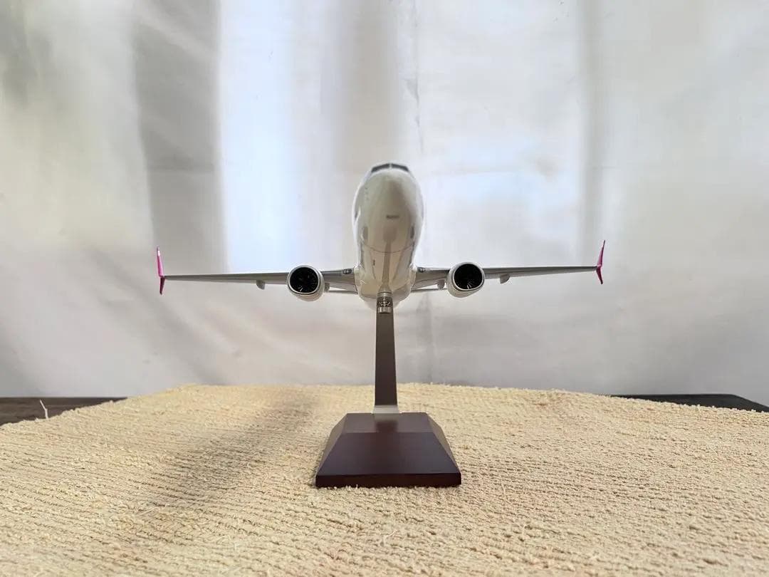 DARON / ダロン｜SWOOP / スウープ｜B737-800｜1/100