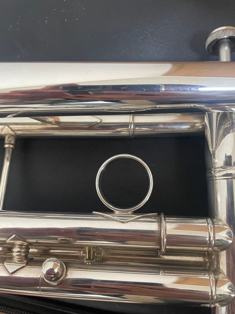 YAMAHA XenoアーティストモデルYTR-9335NY