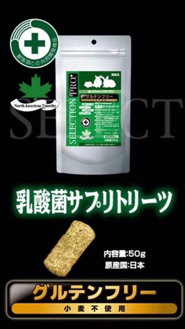 《レオレオ》セレクションプロ乳酸菌サプリトリーツ正規品3袋他追加有