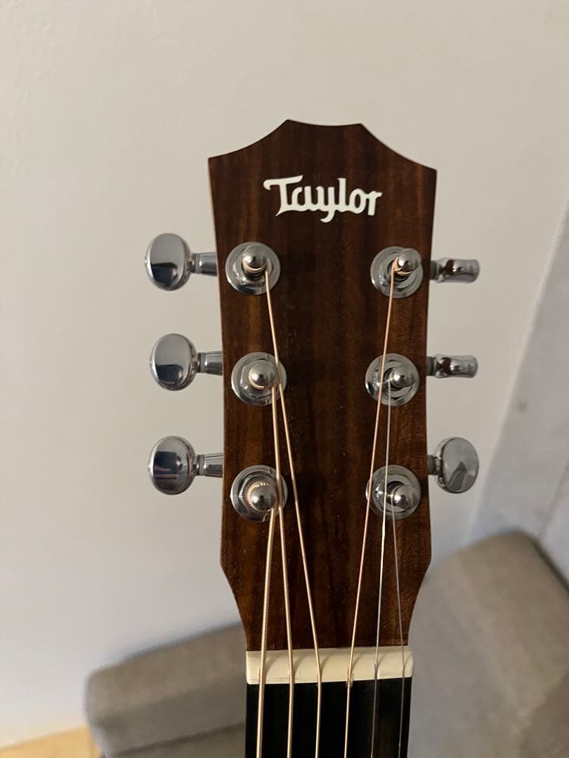 Taylor Baby Taylo-E (エレアコ)