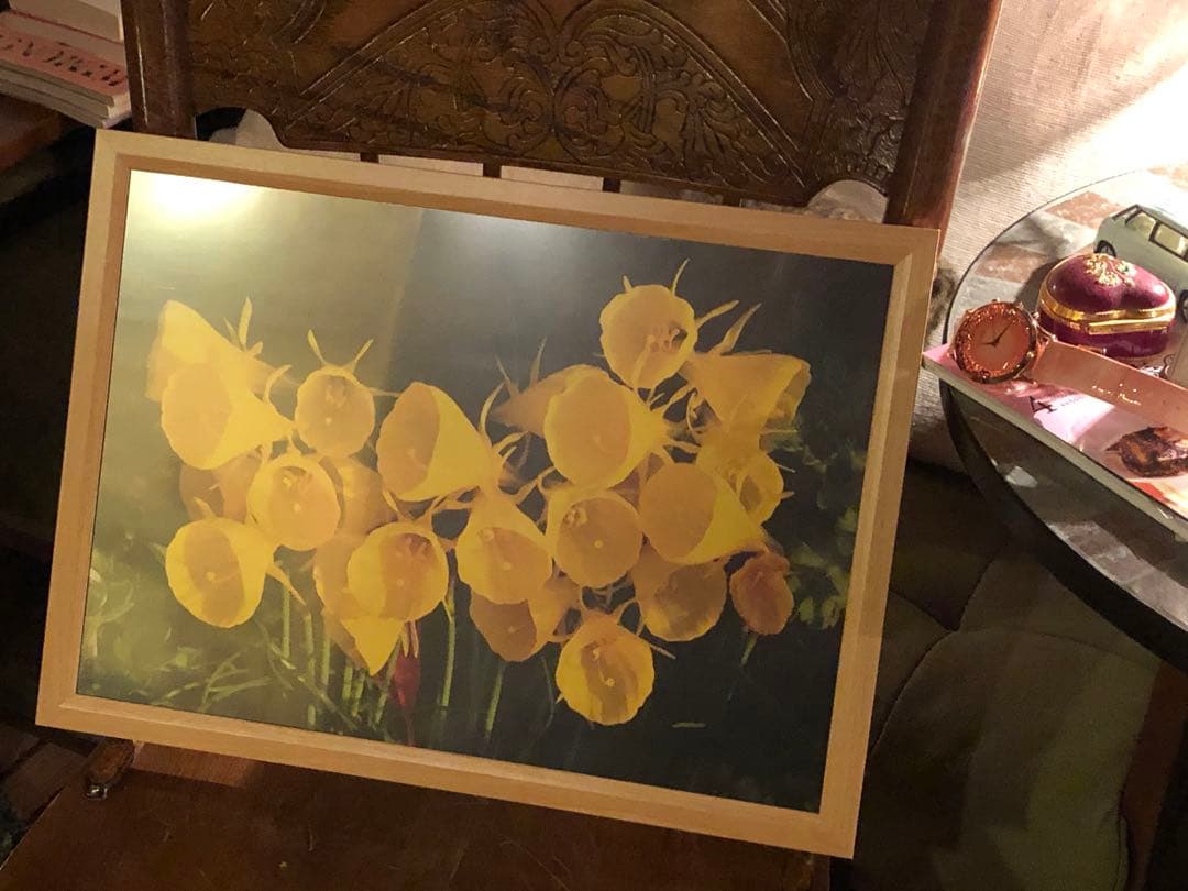 写真家　宮下利光の一眼レフで撮った写真になります。