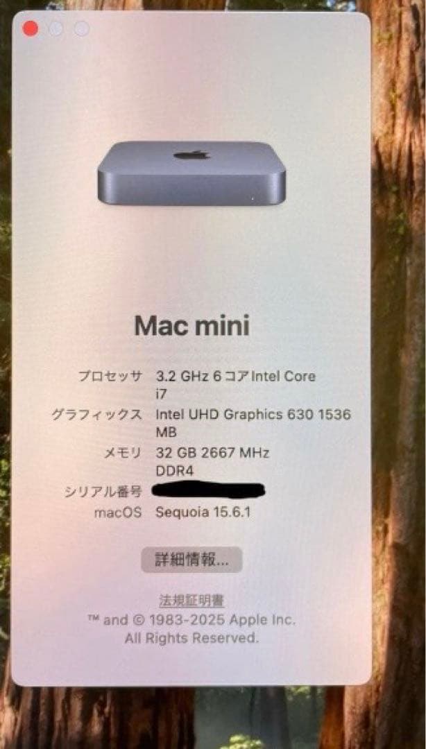 Mac mini 2018 Core i7 32GBメモリ 512GB SSD