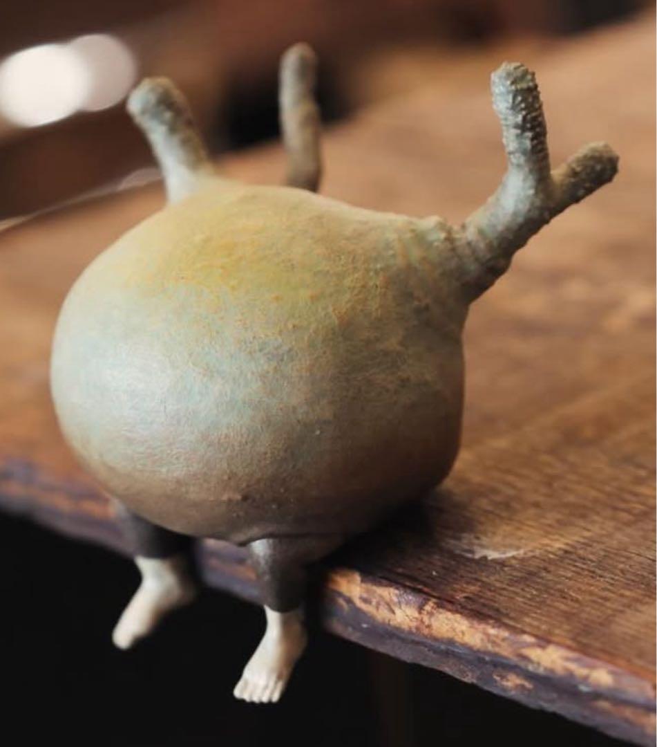 OZWRT TheCaudexMan pachypodiuman C サイズSS