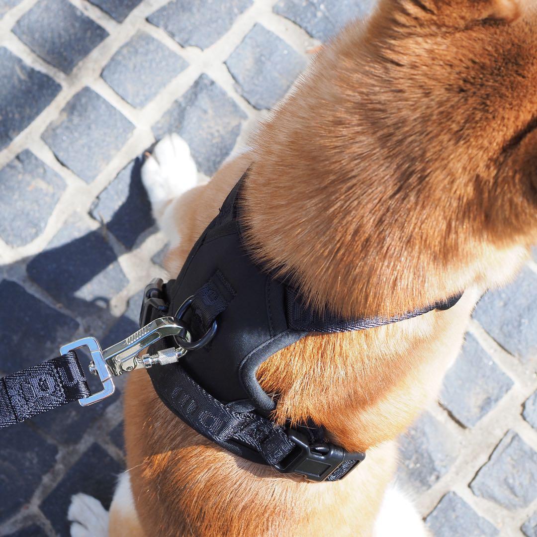 【新品】ハーネス/max-bone/ブラックSサイズ/ラグジュアリーブランド