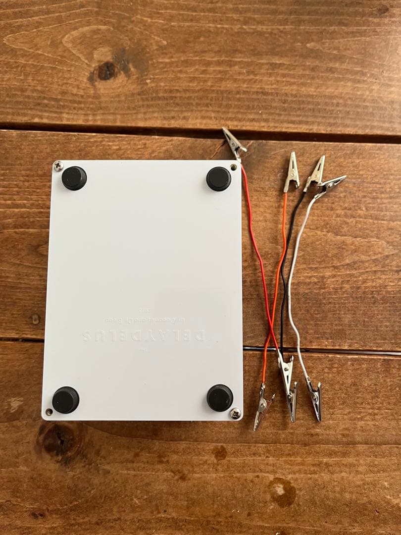 Bleep labs THE DELAYDELUS ジャンク