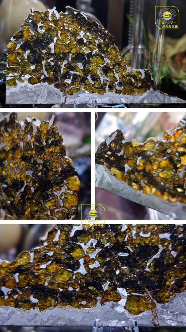 隕石 セイムチャン パラサイト 117.3g ⭐