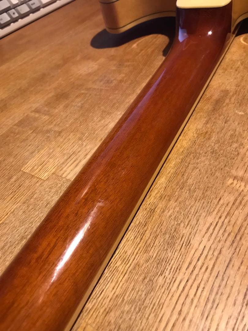 Ibanez セミアコースティックギター AS73D