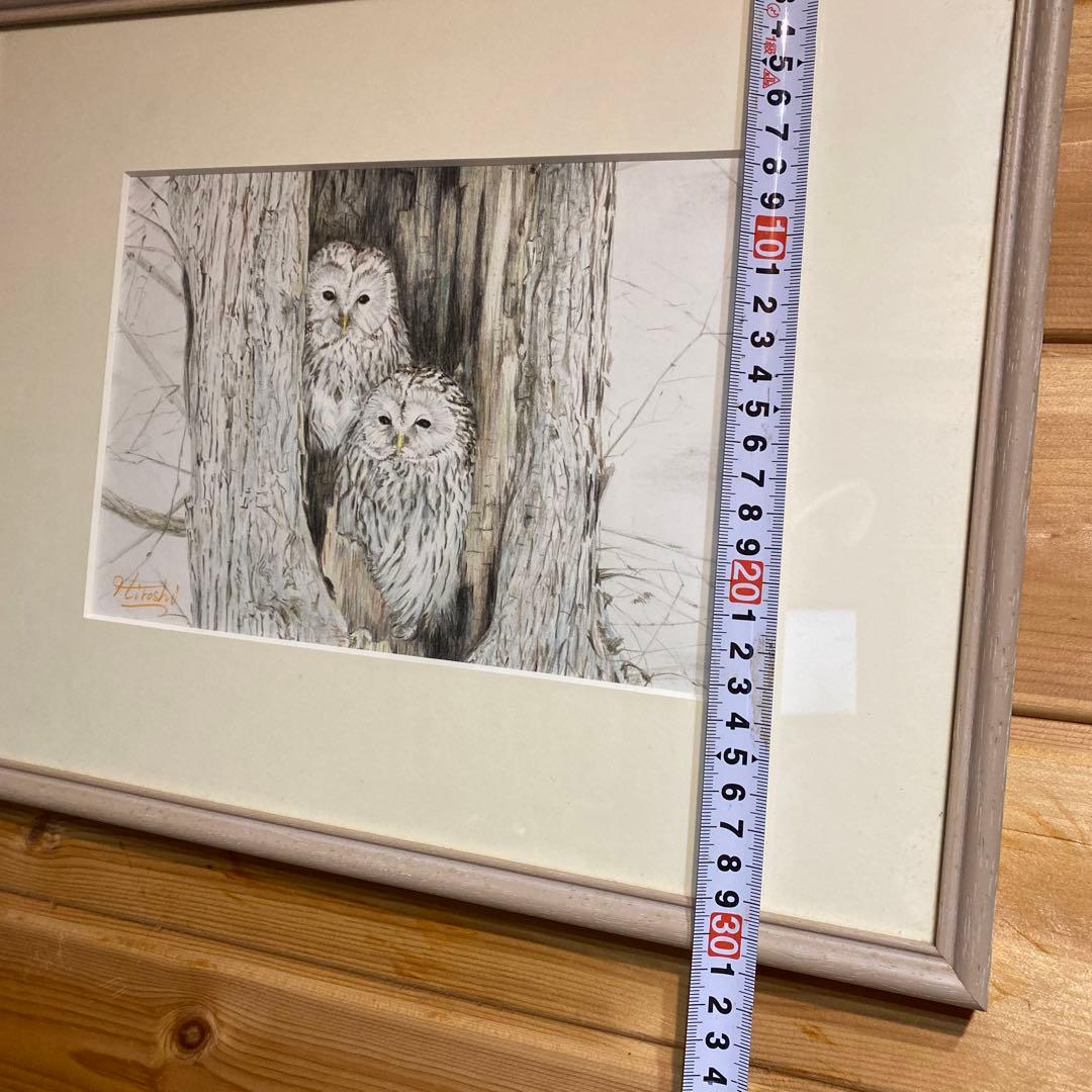 フクロウ(カップル)色鉛筆画