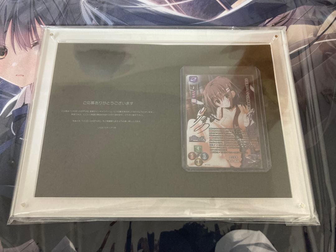 lycee サクラノ詩　素晴らしき日々　ケロQ＆枕 フルコンプ　直筆サイン