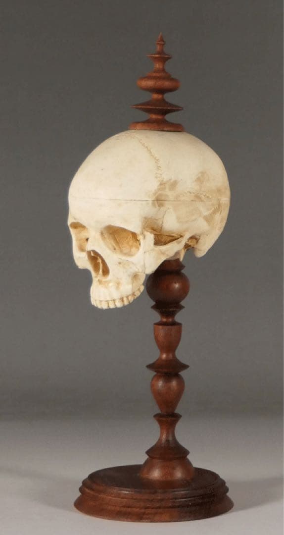 【ガラスドーム入り 頭蓋骨模型 】ゴシック ダークアカデミア ヴンダーカンマー