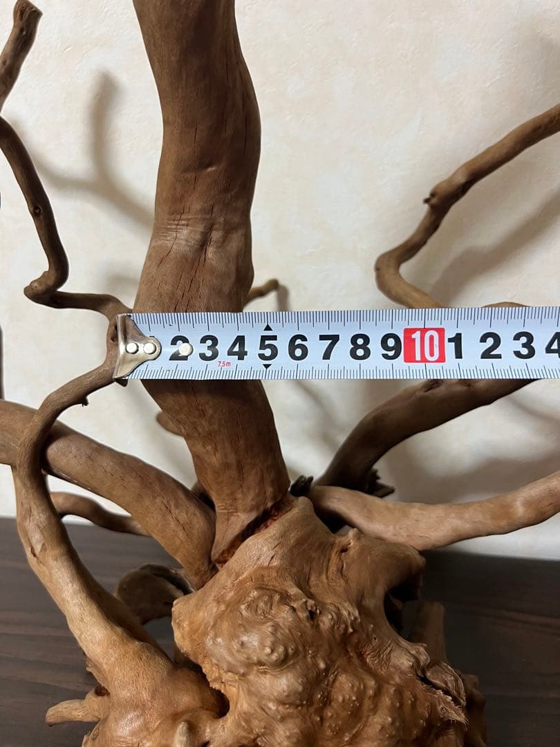 50508 ブランチウッド　流木　アクアリウム 沈水確認済