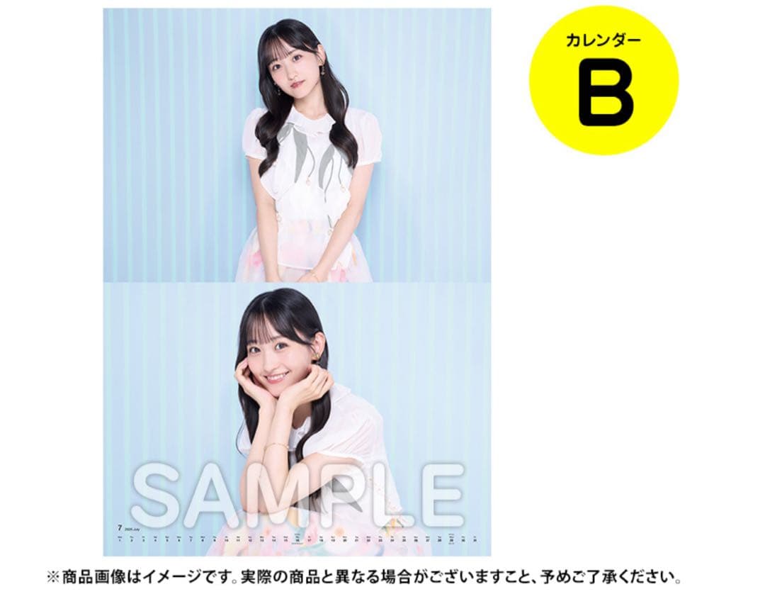 【即日】壁掛けカレンダー A B 2本セット 2026年 乃木坂46