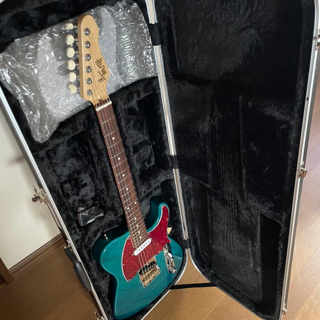 truth テレキャスタータイプ TTL-201 オーダー仕様 トゥルース 美品