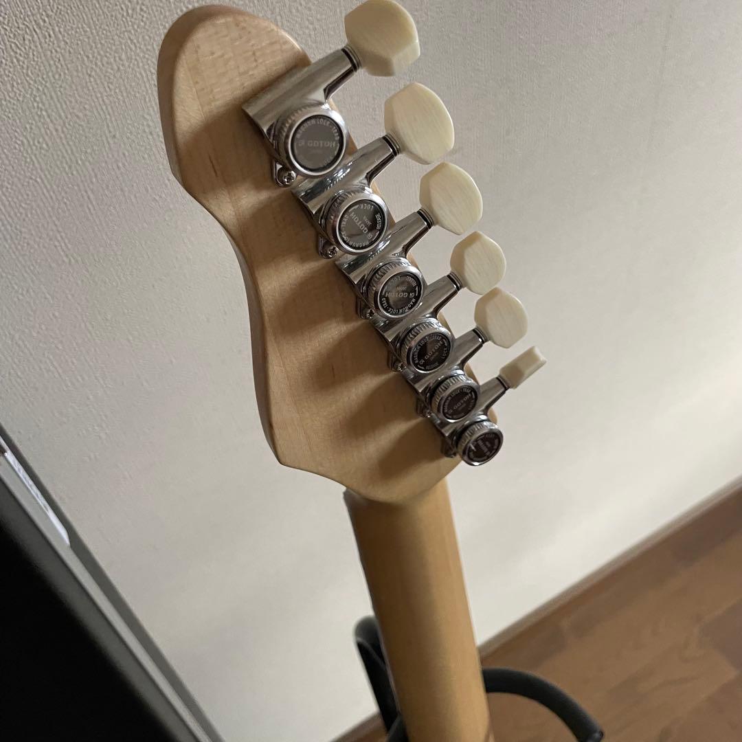 truth テレキャスタータイプ TTL-201 オーダー仕様 トゥルース 美品