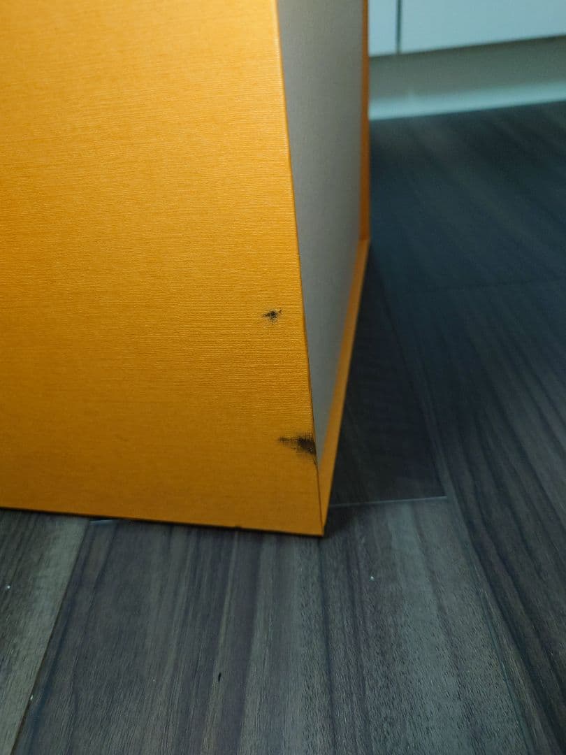 LOUIS VUITTON 箱　BOX ビッグ