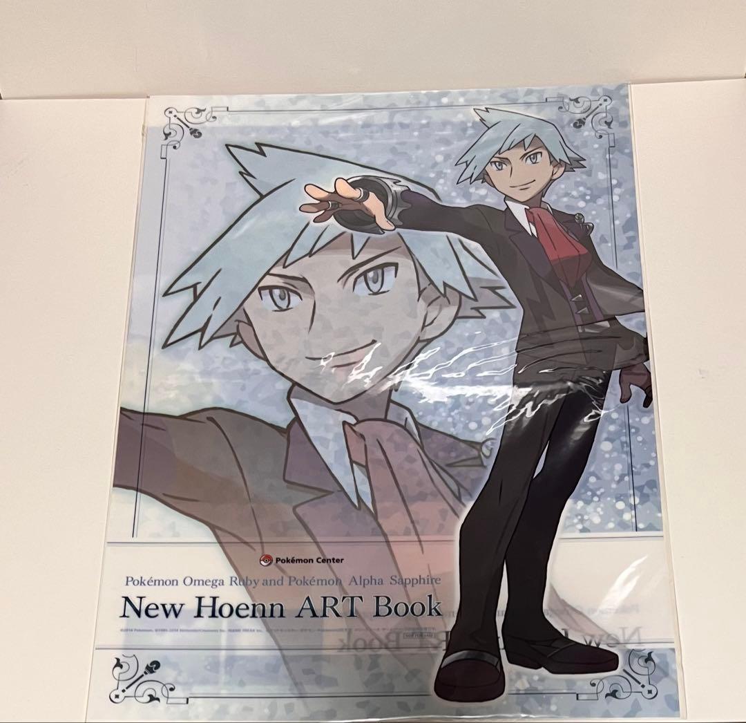 ポケットモンスター オメガルビー アルファサファイア アートブック 他