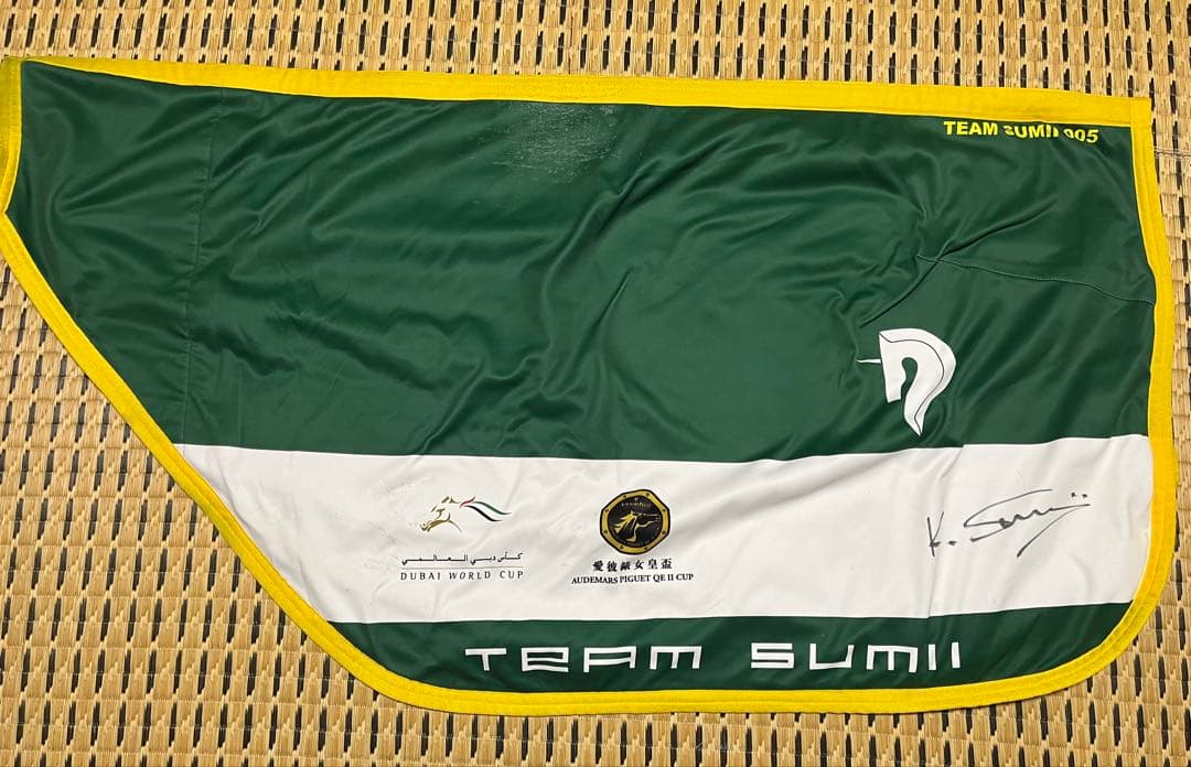 【一点物】エピファネイア実使用　調教用ラグ【一点物】