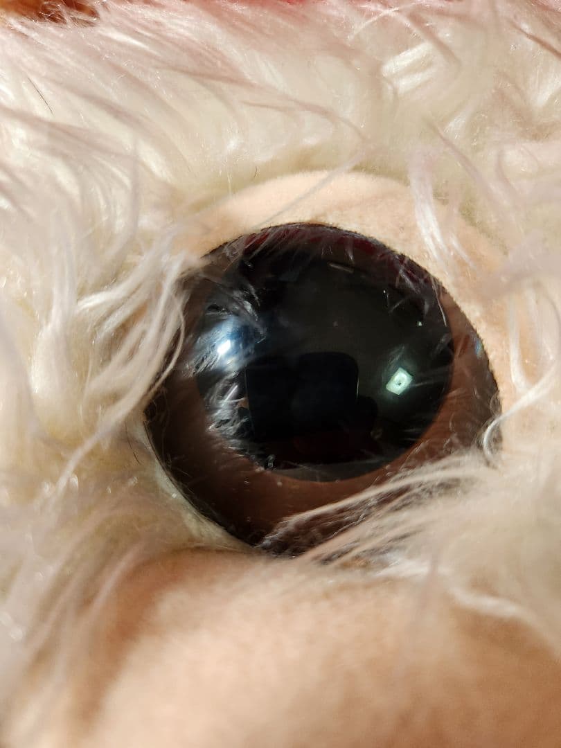 グレムリン　ギズモ　ぬいぐるみ　　ジュンプランニング　モグワイ