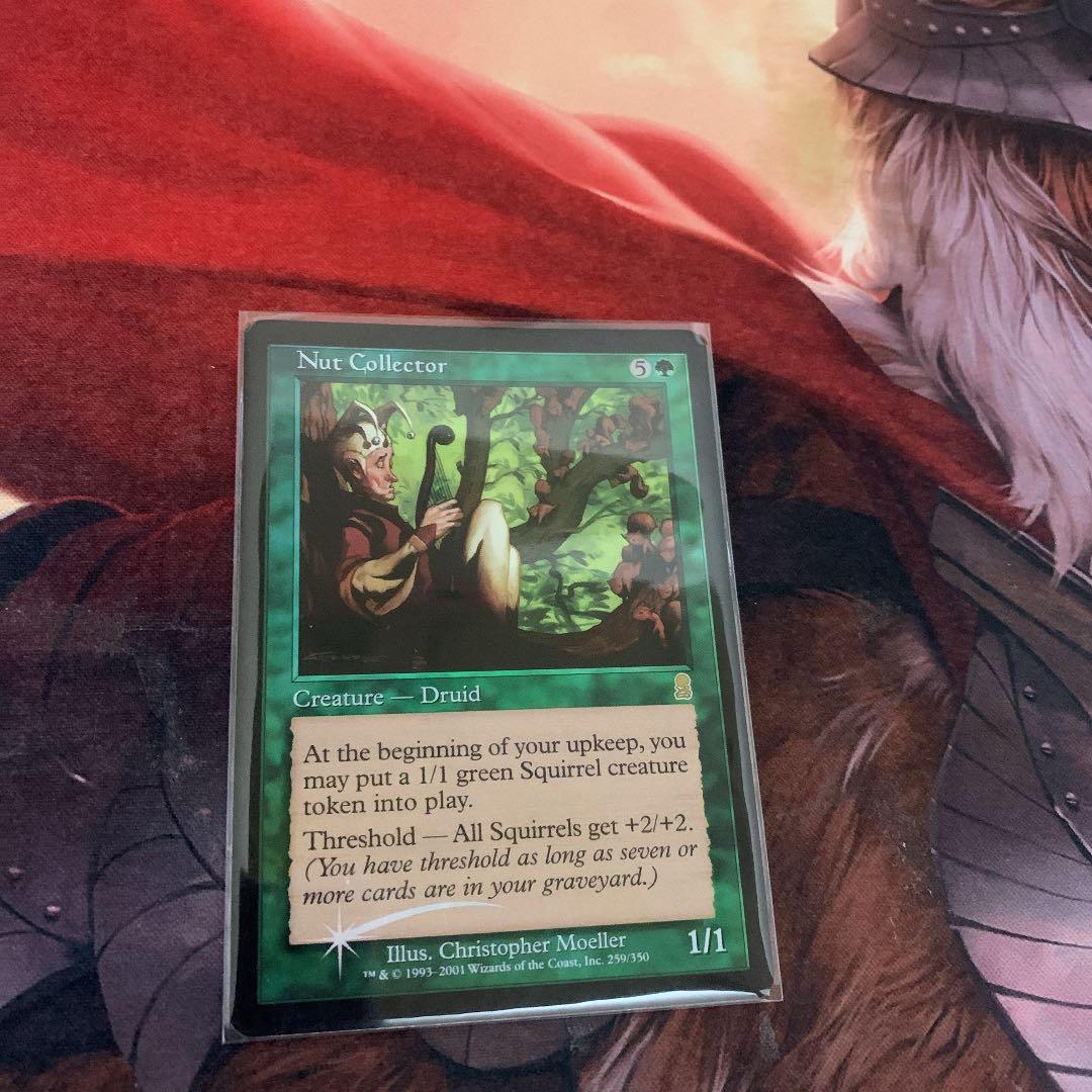 MTG 木の実拾い Nut Collector  foil 英語版　オデッセイ