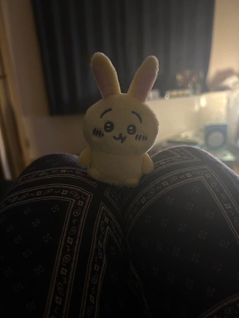 ちいかわ うさぎ