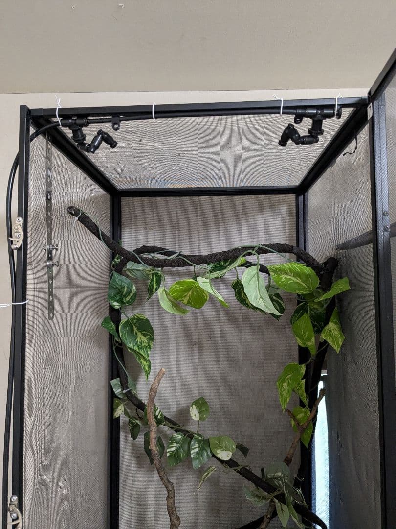 GEX カメレオン飼育１１点セット　エキゾテラスクリーンテラリウム４５９０