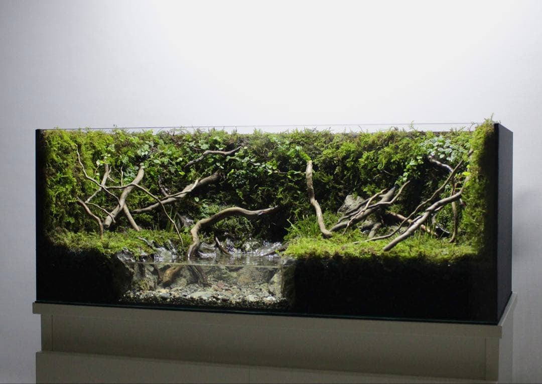 夕方　オーダー作品　アクアテラリウム　イモリウム