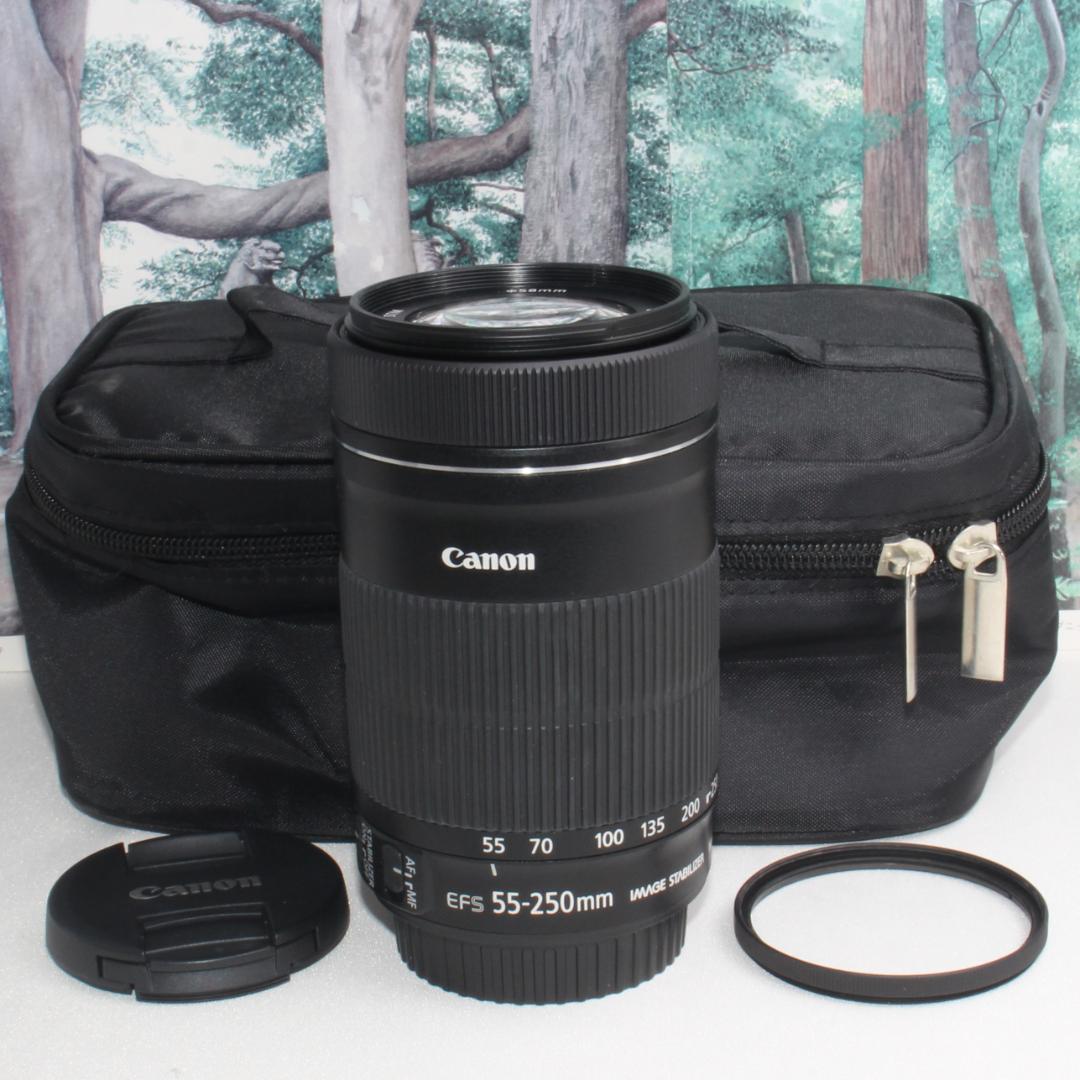 ☆高性能望遠レンズ☆EF-S 55-250 mm STM☆
