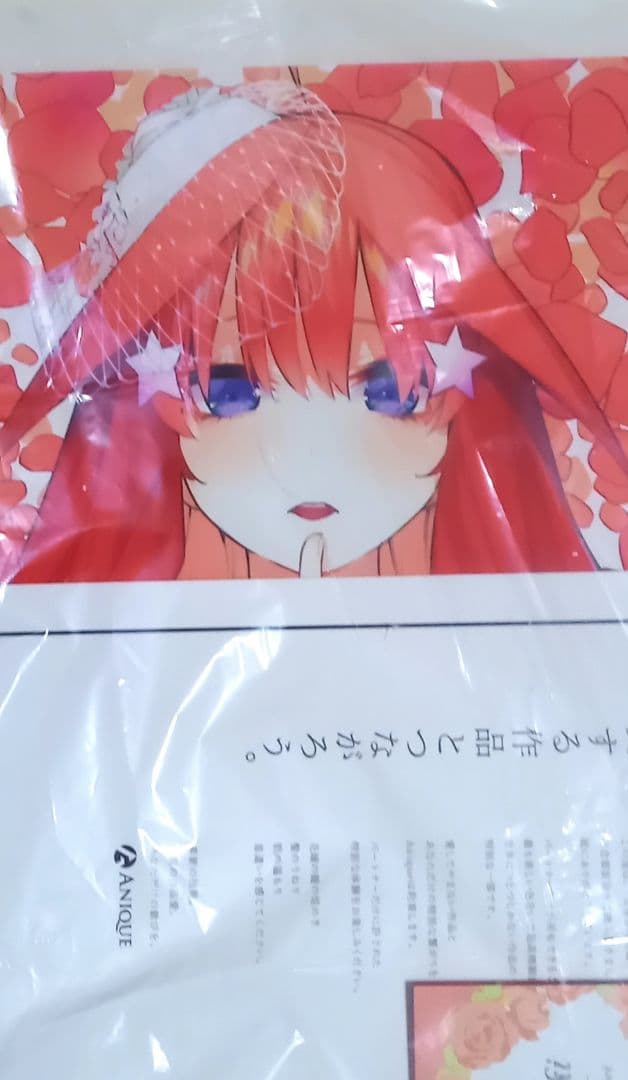 五等分の花嫁 中野五月 完結記念 Anique 記念額装絵 複製原画　当選品