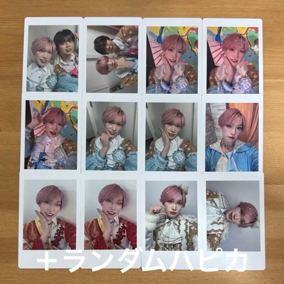 パンダドラゴン たいが なぎ