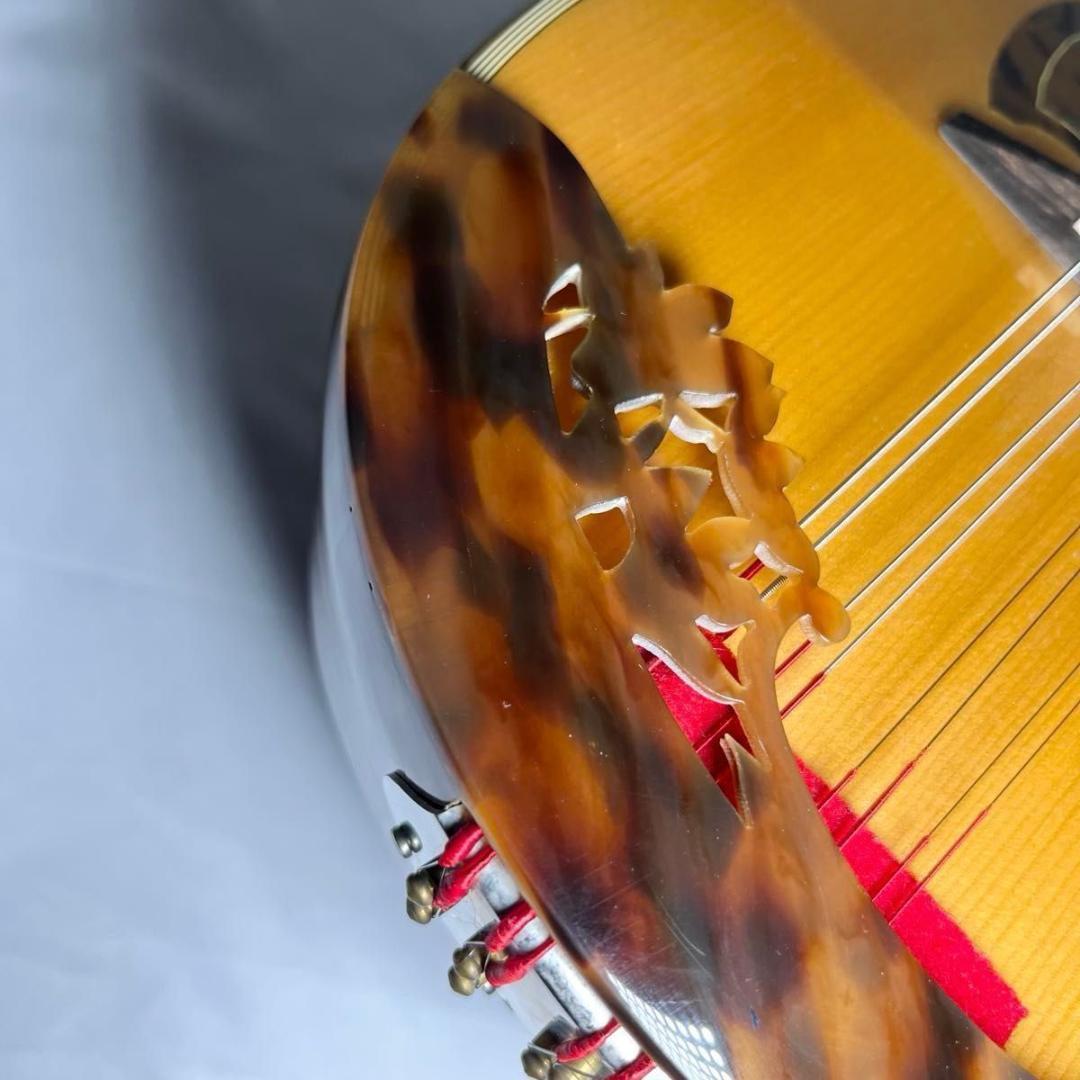 マンドリン　ラファエレ・カラーチェ Type15 raffaele calace