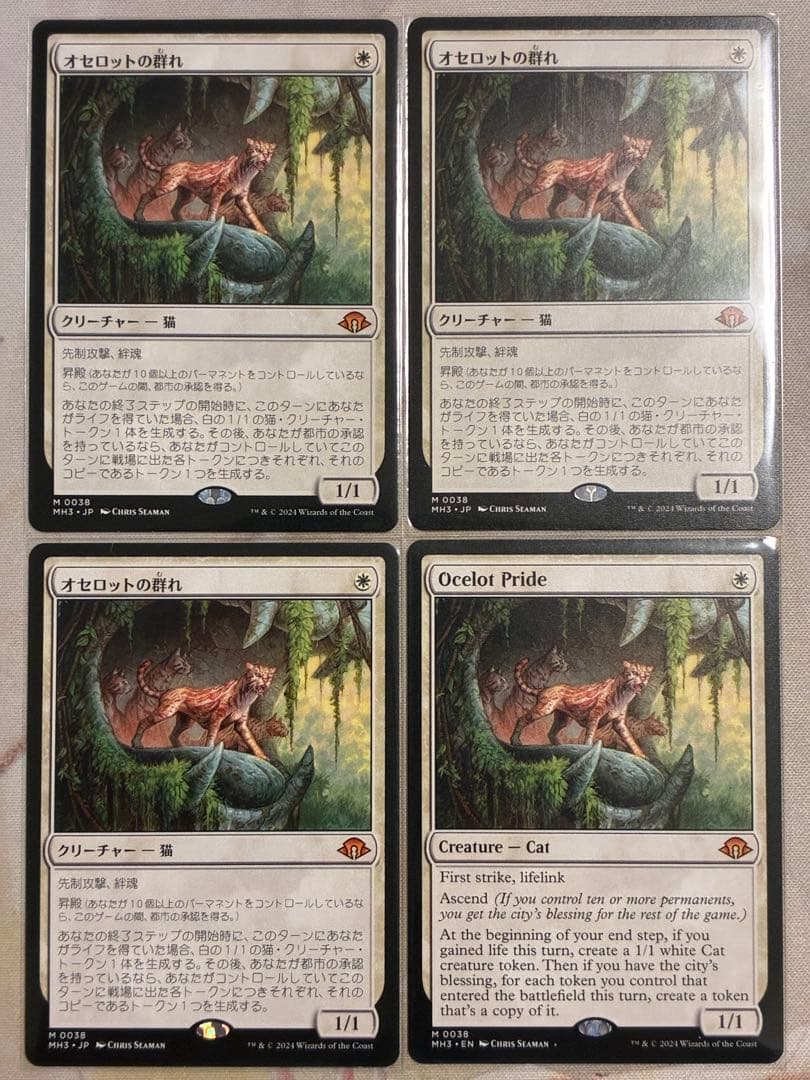 MTG オセロットの群れ/Ocelot Pride 4枚セット