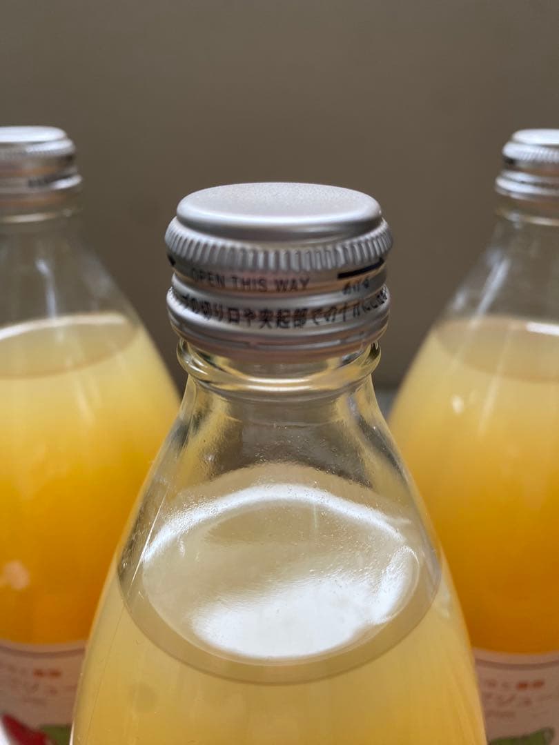 青森県産 りんごジュース 100% ストレートタイプ