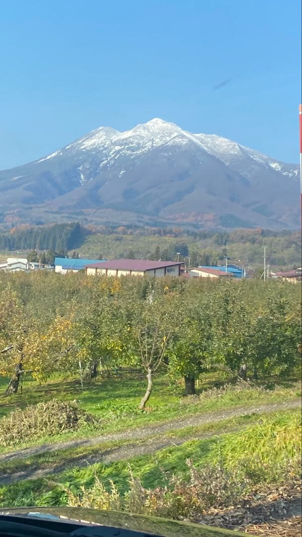 青森県産 りんごジュース 100% ストレートタイプ