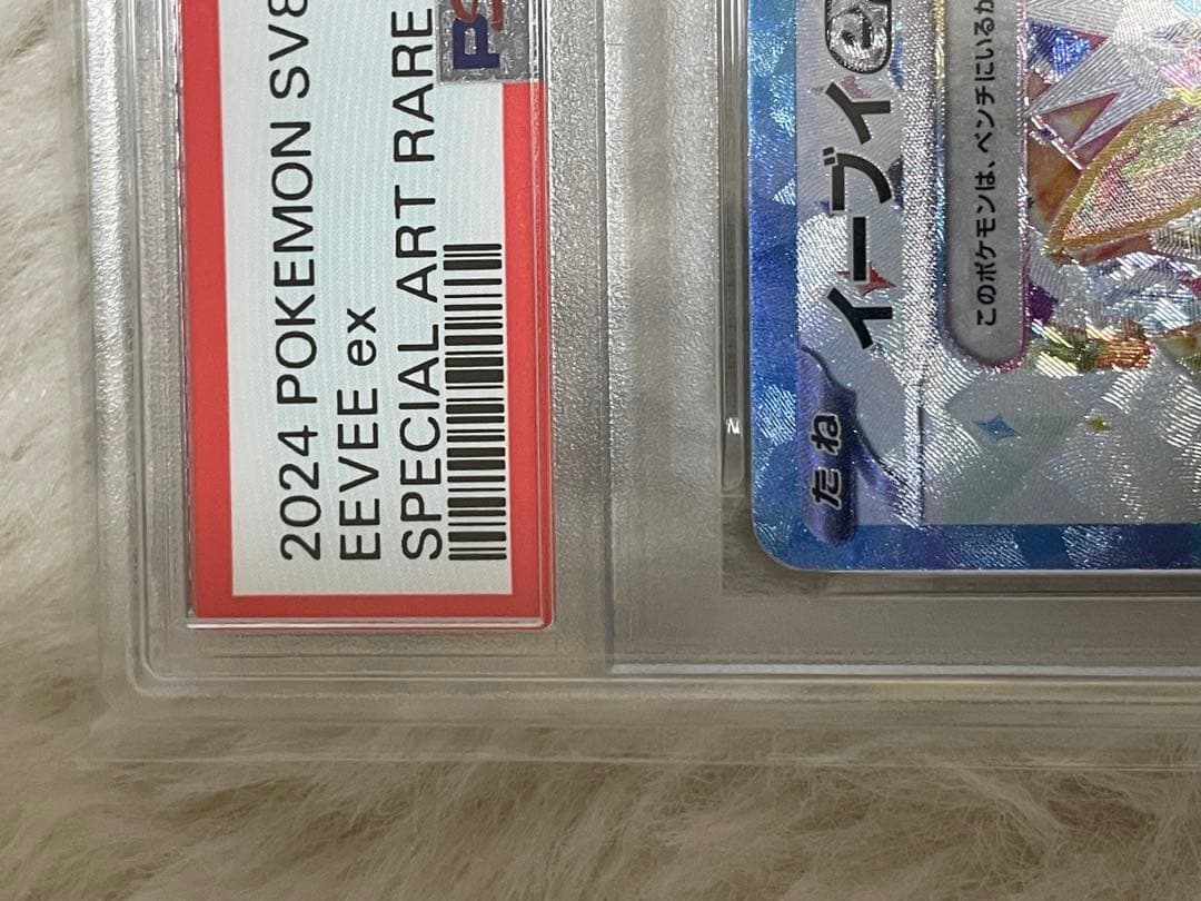 r*n様 PSA10 ブイズEEVEEexイーブイex SAR テラスタルフェス