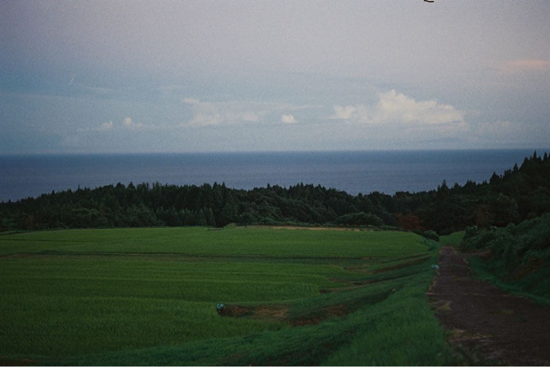 【美品】 沈洞ズミクロンMマウント50mm F2 ライカ 作例あり