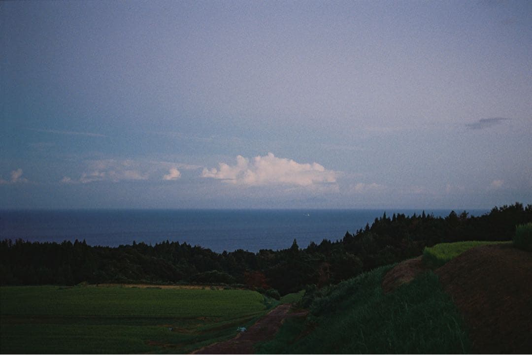 【美品】 沈洞ズミクロンMマウント50mm F2 ライカ 作例あり