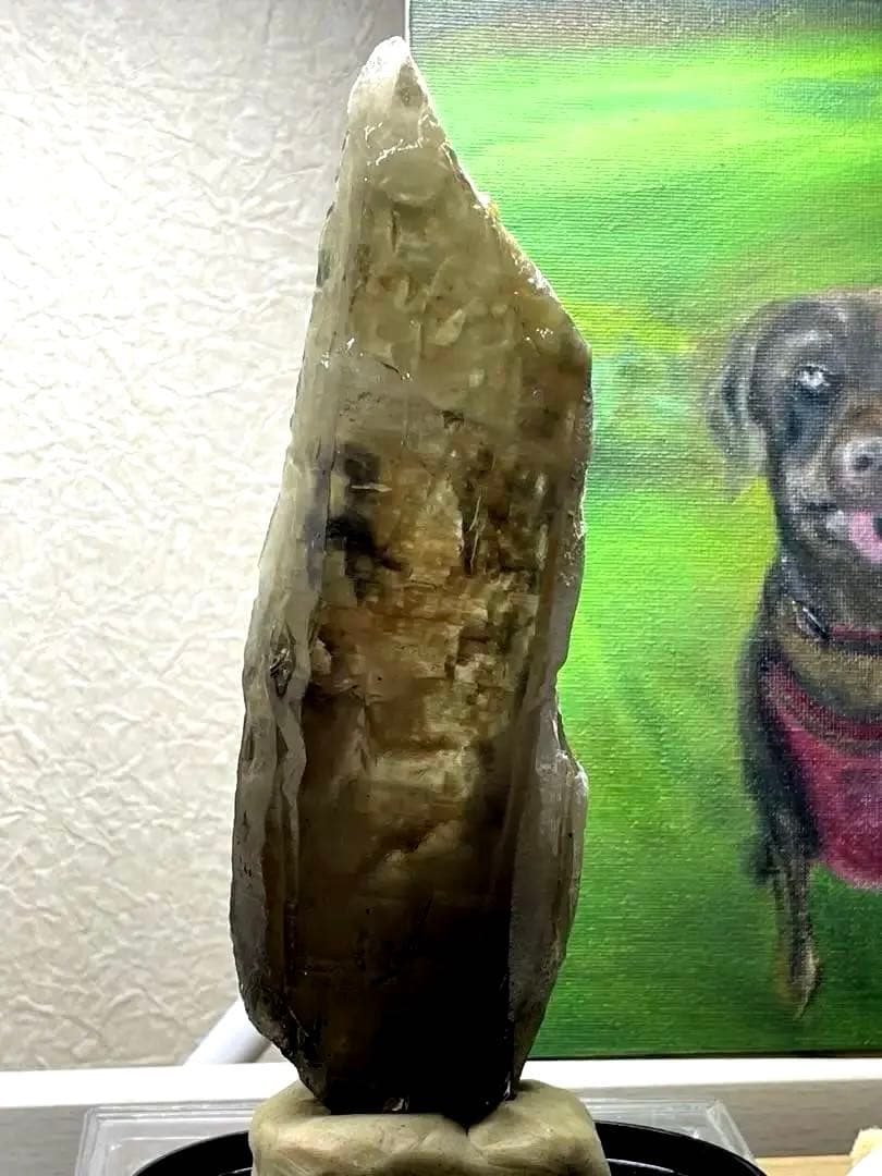 共生スモーキークォーツ・レインボー　・トルマリン　370g