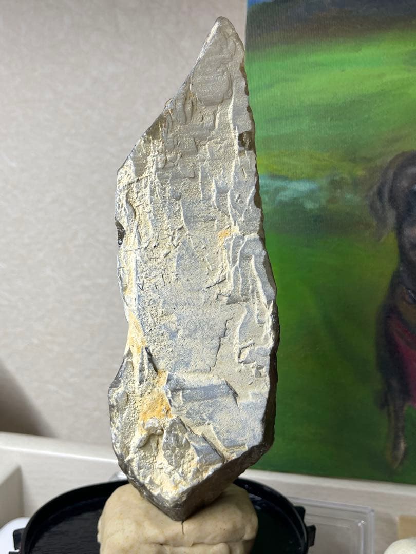 共生スモーキークォーツ・レインボー　・トルマリン　370g