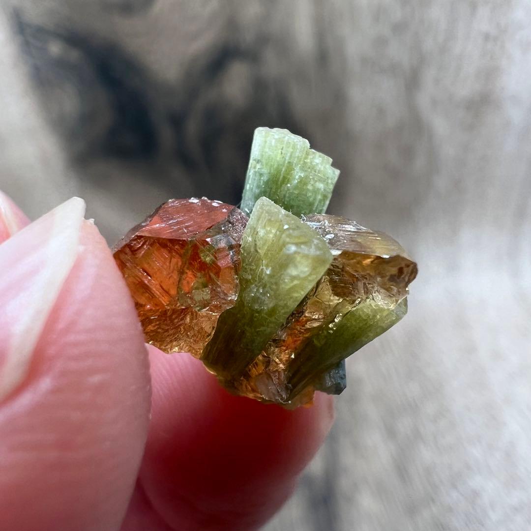 ヘソナイト ガーネット ダイオプサイト 共生 鉱物 標本 原石
