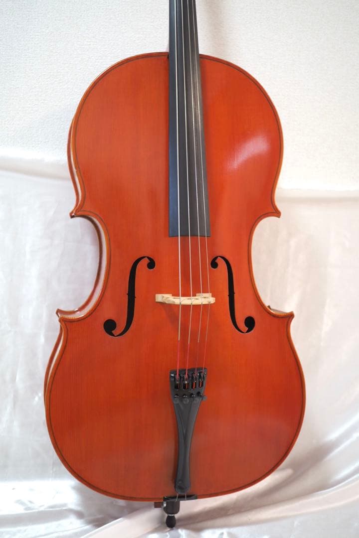 ピグマリウス チェロ 4/4 Pygmalius　ST-303 ハードケース