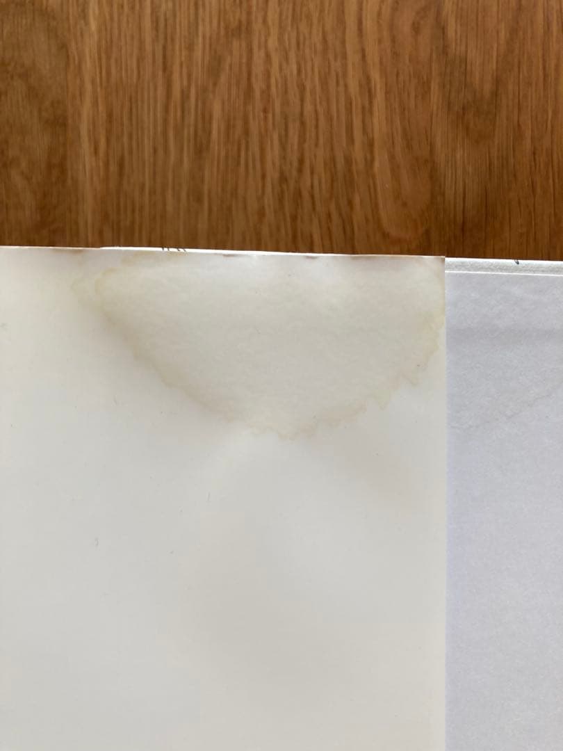 ノーマの発酵ガイド　日本語版