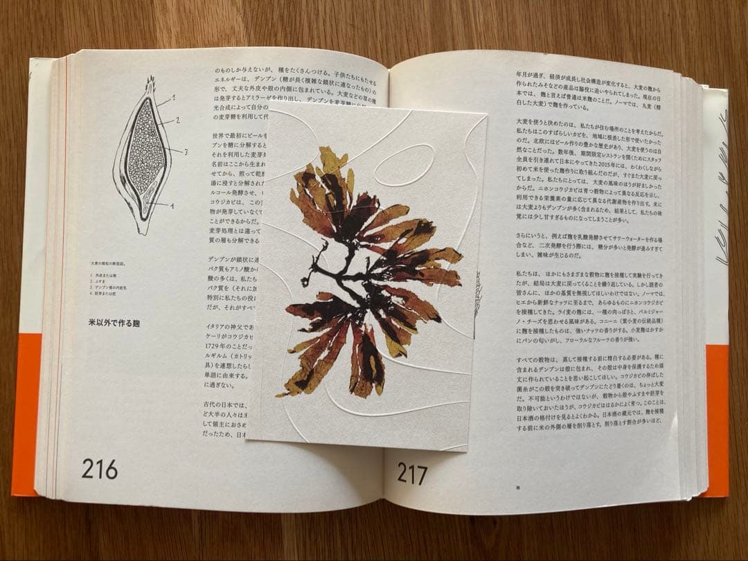 ノーマの発酵ガイド　日本語版