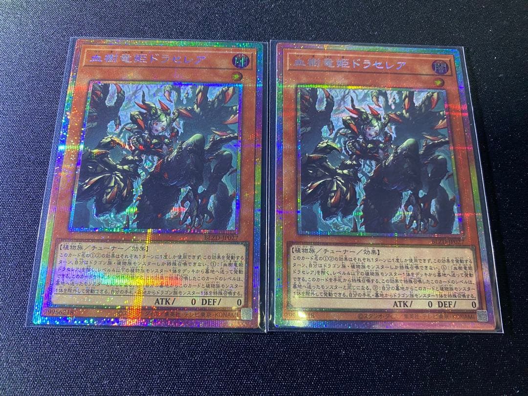 遊戯王　血樹竜姫ドラセレア　プリズマ プリシク　2枚