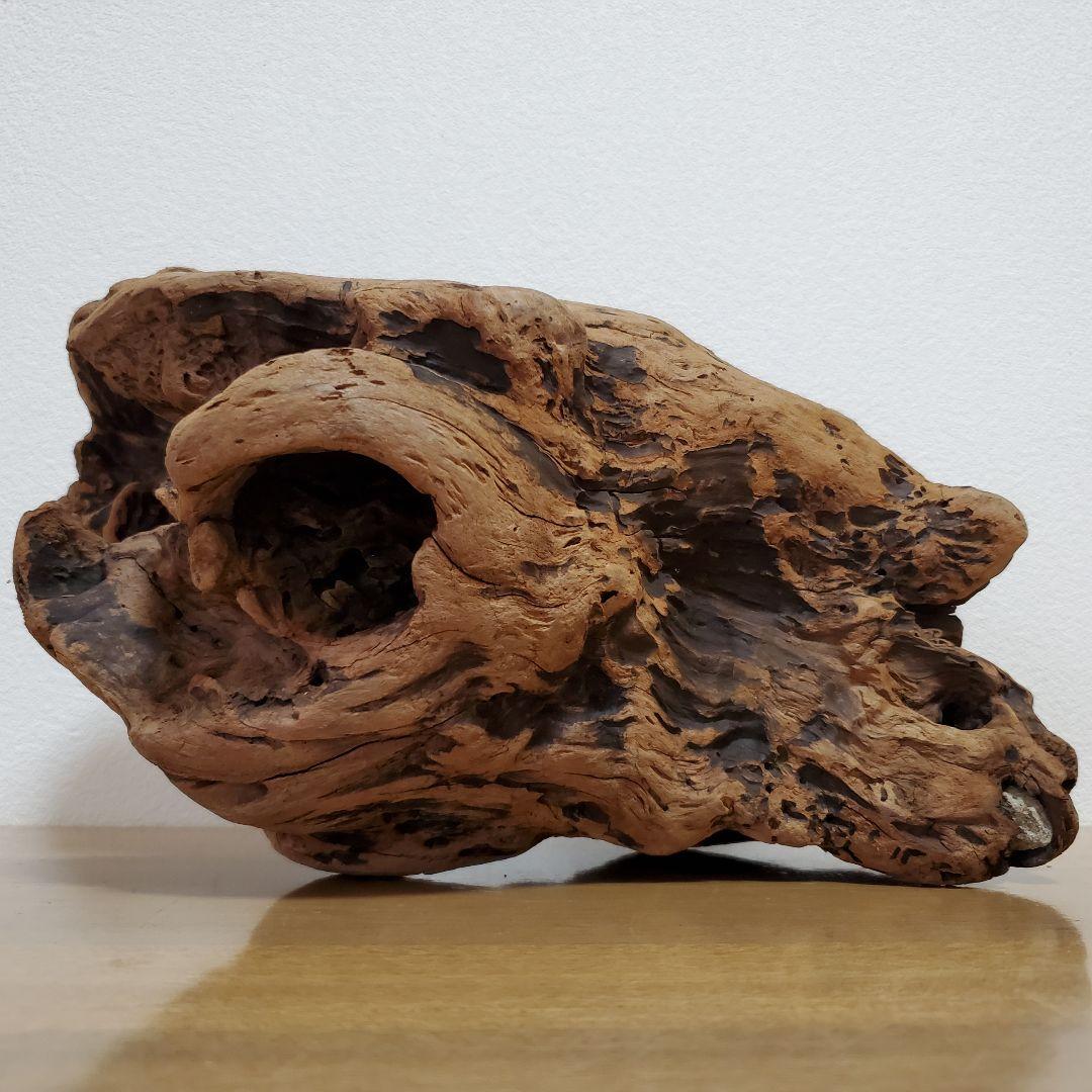 【267】大型流木　インテリアや爬虫類などに　止まり木　アクアリウム