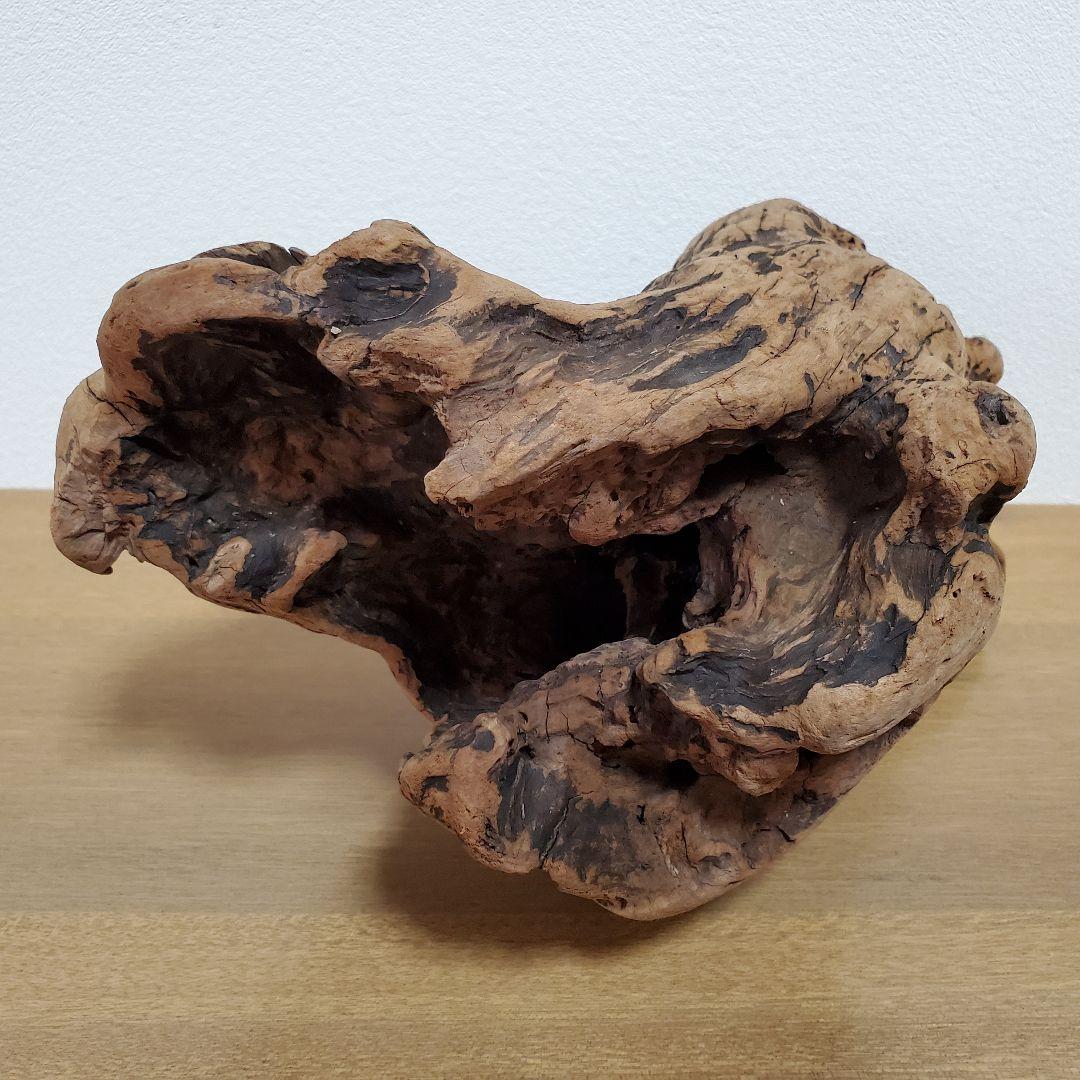 【267】大型流木　インテリアや爬虫類などに　止まり木　アクアリウム