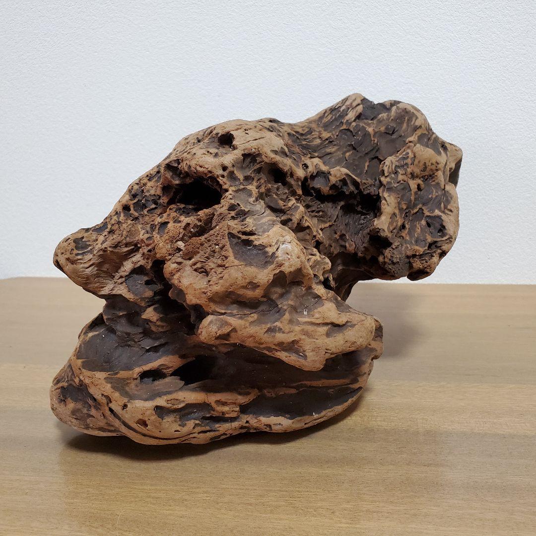 【267】大型流木　インテリアや爬虫類などに　止まり木　アクアリウム