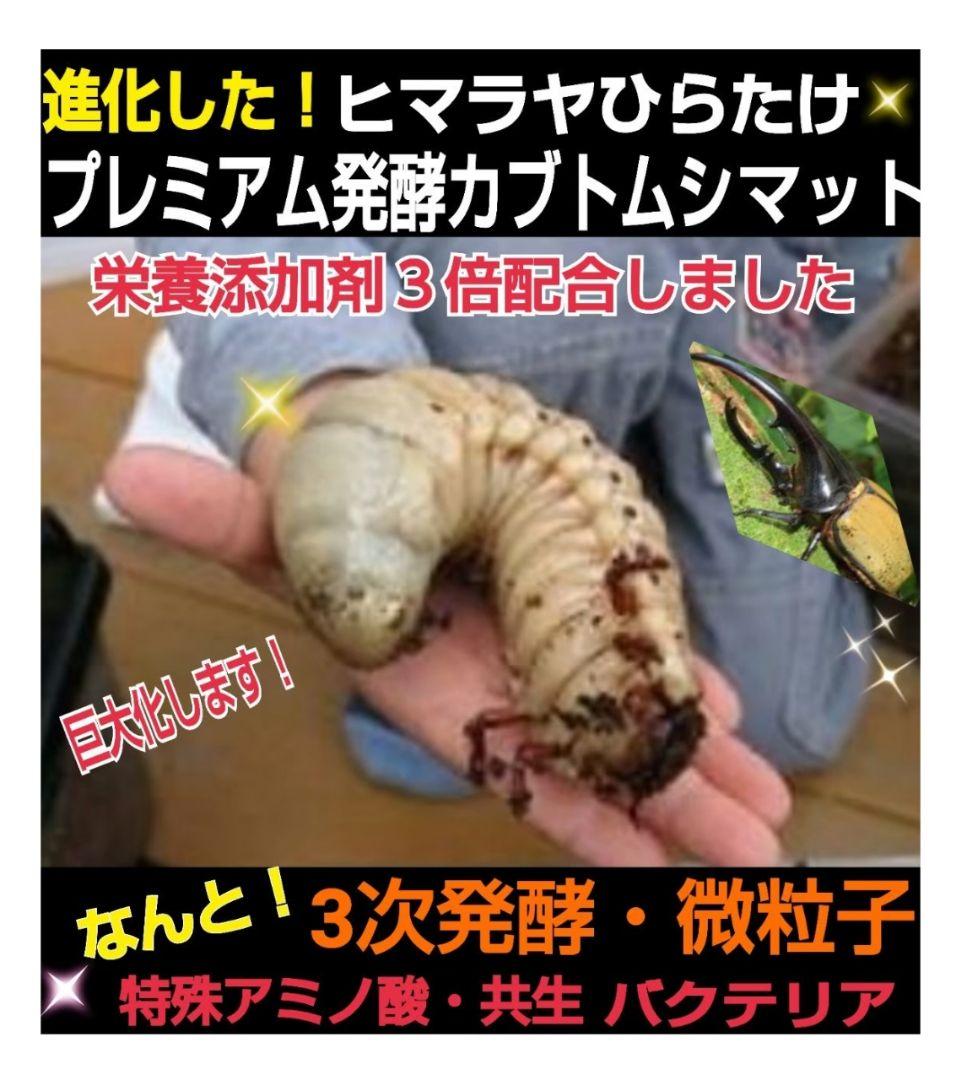 特選！プレミアム3次発酵カブトムシマット【たっぷり6袋】幼虫の餌・産卵に抜群！
