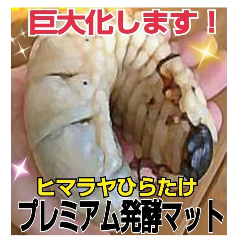特選！プレミアム3次発酵カブトムシマット【たっぷり6袋】幼虫の餌・産卵に抜群！